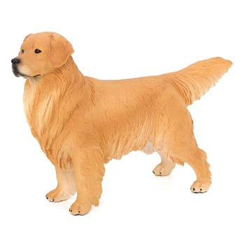 Simulação De Animais De Cachorro Modelo Big Golden Retriever Cão De Estimação De Ciência De Modelos De Educação Infantil Dom Brinquedos